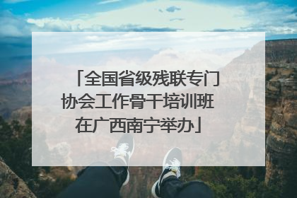 全国省级残联专门协会工作骨干培训班在广西南宁举办