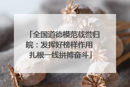 全国道德模范载誉归皖：发挥好榜样作用 扎根一线拼搏奋斗