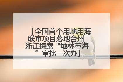 全国首个用地用海联审项目落地台州 浙江探索“地林草海”审批一次办