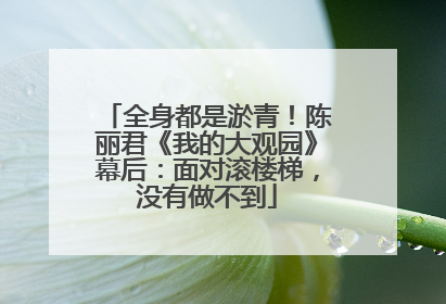 全身都是淤青！陈丽君《我的大观园》幕后：面对滚楼梯，没有做不到
