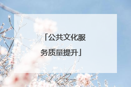 公共文化服务质量提升