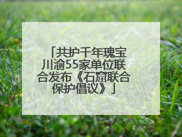 共护千年瑰宝 川渝55家单位联合发布《石窟联合保护倡议》