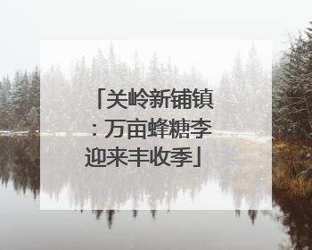 关岭新铺镇：万亩蜂糖李迎来丰收季