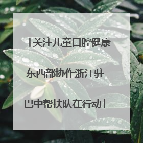关注儿童口腔健康 东西部协作浙江驻巴中帮扶队在行动