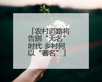 农村道路将告别“无名”时代 乡村何以“著名”