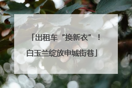 出租车“换新衣”！白玉兰绽放申城街巷