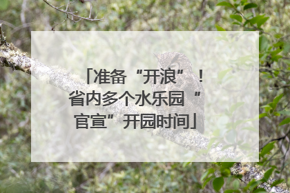 准备“开浪”！省内多个水乐园“官宣”开园时间