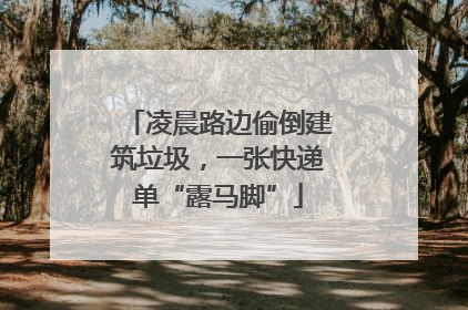 凌晨路边偷倒建筑垃圾，一张快递单“露马脚”