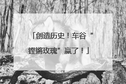 创造历史！车谷“铿锵玫瑰”赢了！