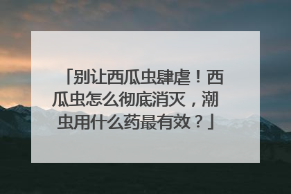 别让西瓜虫肆虐！西瓜虫怎么彻底消灭，潮虫用什么药最有效？