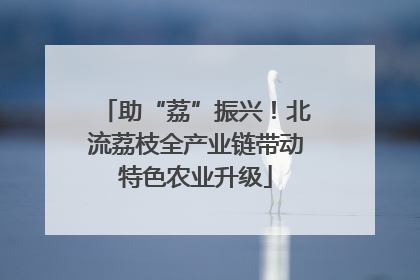 助“荔”振兴！北流荔枝全产业链带动特色农业升级