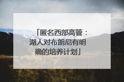 匿名西部高管：湖人对布朗尼有明确的培养计划