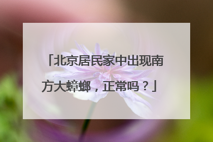 北京居民家中出现南方大蟑螂，正常吗？