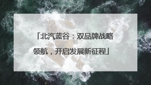 北汽蓝谷：双品牌战略领航，开启发展新征程
