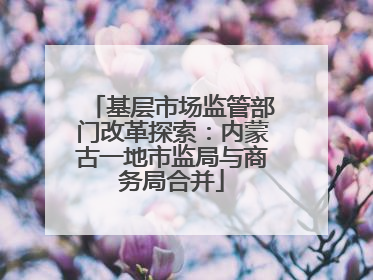 基层市场监管部门改革探索：内蒙古一地市监局与商务局合并