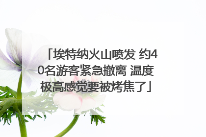 埃特纳火山喷发 约40名游客紧急撤离 温度极高感觉要被烤焦了