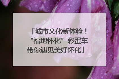城市文化新体验！“福地怀化”彩蛋车带你遇见美好怀化