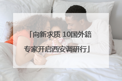向新求质 10国外籍专家开启西安调研行
