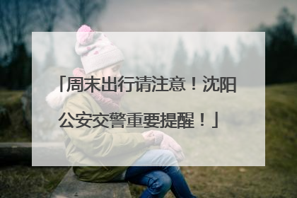 周末出行请注意！沈阳公安交警重要提醒！