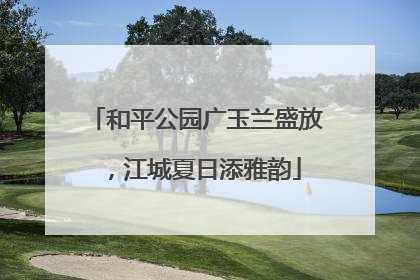 和平公园广玉兰盛放，江城夏日添雅韵