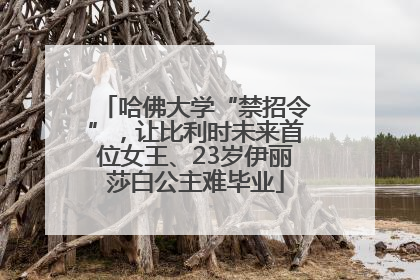 哈佛大学“禁招令”，让比利时未来首位女王、23岁伊丽莎白公主难毕业