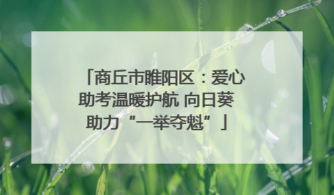 商丘市睢阳区：爱心助考温暖护航 向日葵助力“一举夺魁”