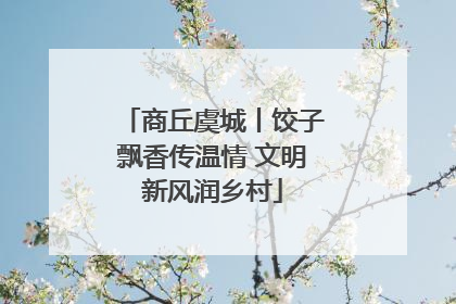 商丘虞城丨饺子飘香传温情 文明新风润乡村