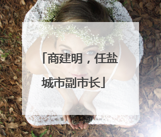 商建明，任盐城市副市长