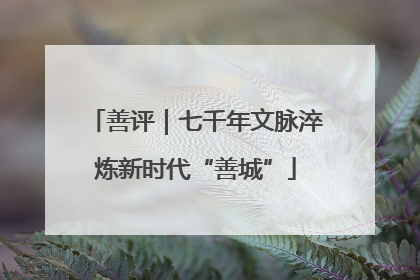 善评｜七千年文脉淬炼新时代“善城”