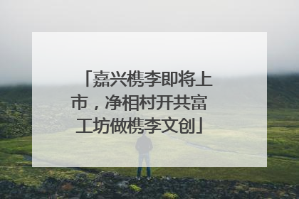 嘉兴槜李即将上市，净相村开共富工坊做槜李文创
