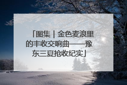 图集｜金色麦浪里的丰收交响曲——豫东三夏抢收纪实