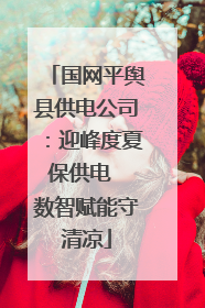 国网平舆县供电公司：迎峰度夏保供电  数智赋能守清凉