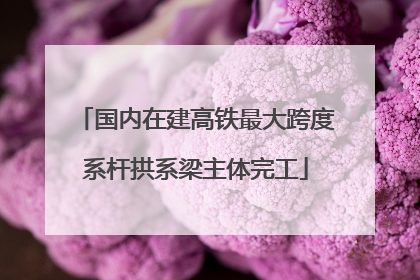 国内在建高铁最大跨度系杆拱系梁主体完工