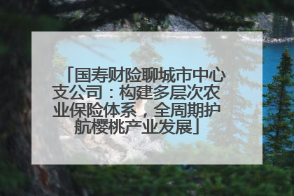 国寿财险聊城市中心支公司：构建多层次农业保险体系，全周期护航樱桃产业发展
