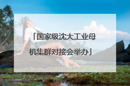 国家级沈大工业母机集群对接会举办