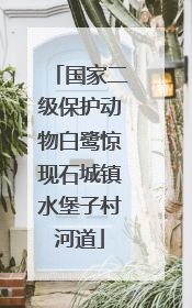 国家二级保护动物白鹭惊现石城镇水堡子村河道