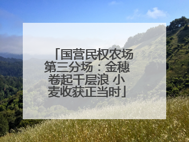 国营民权农场第三分场：金穗卷起千层浪 小麦收获正当时