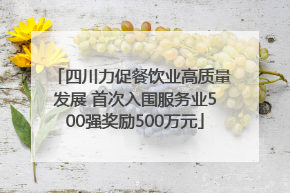 四川力促餐饮业高质量发展 首次入围服务业500强奖励500万元