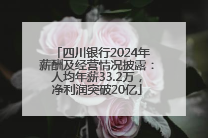 四川银行2024年薪酬及经营情况披露：人均年薪33.2万，净利润突破20亿