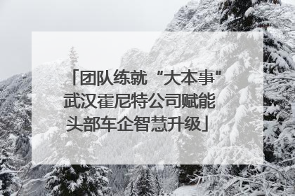 团队练就“大本事” 武汉霍尼特公司赋能头部车企智慧升级