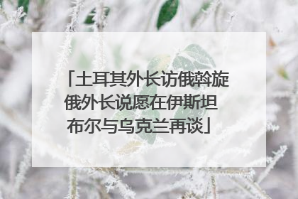 土耳其外长访俄斡旋 俄外长说愿在伊斯坦布尔与乌克兰再谈