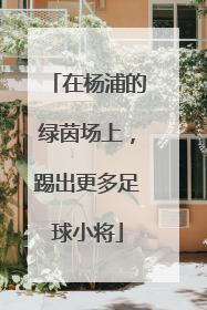 在杨浦的绿茵场上，踢出更多足球小将