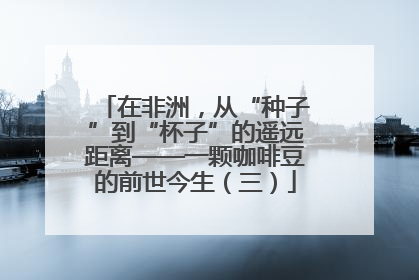 在非洲，从“种子”到“杯子”的遥远距离——一颗咖啡豆的前世今生（三）