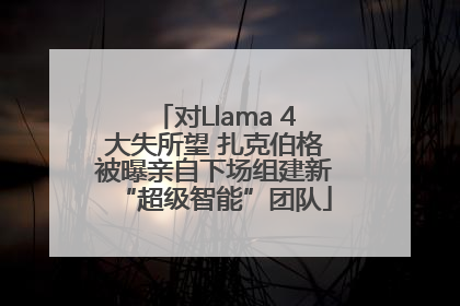 对Llama 4大失所望 扎克伯格被曝亲自下场组建新“超级智能”团队