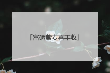 富硒紫麦喜丰收