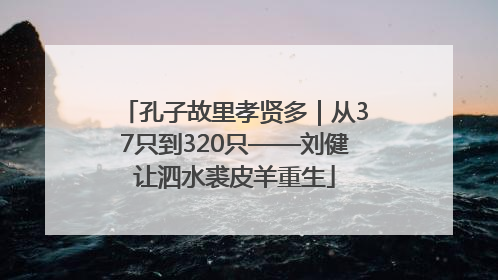 孔子故里孝贤多｜从37只到320只——刘健让泗水裘皮羊重生