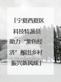 宁夏西夏区 科技特派员助力“紫色经济”酿出乡村振兴新风味
