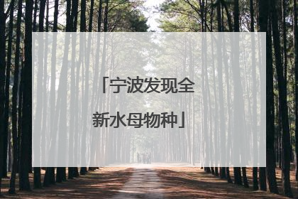 宁波发现全新水母物种