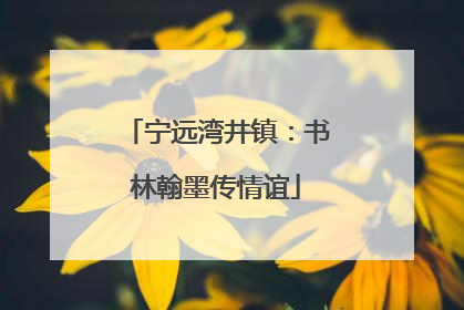 宁远湾井镇：书林翰墨传情谊