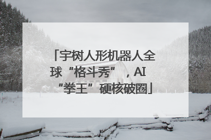 宇树人形机器人全球“格斗秀”，AI“拳王”硬核破圈